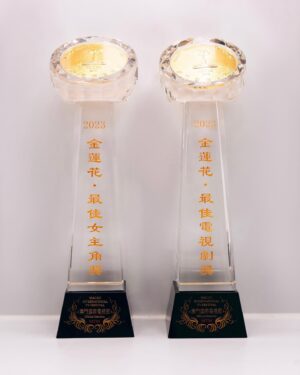Liu Yifei Instagram - Thanks to “Meet Yourself”, I received the Best Actress award. Thank you Macau International TV Festival for the honor.