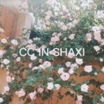 Liu Yifei Instagram -