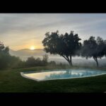 Liv Tyler Instagram - When the morning comes ….💗