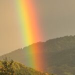 Liv Tyler Instagram - Sometimes after rain comes a rainbow …