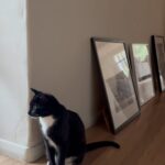 Liv Tyler Instagram - Johnny Cat and Chicken … A Groovy Kind of Love 💗 The Mindbenders 🎶