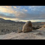 Liv Tyler Instagram – Sunrise in Joshua tree with my sweet Giraffe Milo 🥰