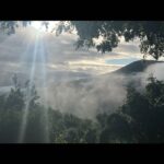 Liv Tyler Instagram – Morning from the mountains 💗