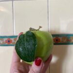 Liv Tyler Instagram – Summer love 🍏♥️ 🥑 🍑 🍐