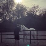 Liv Tyler Instagram - Connection …