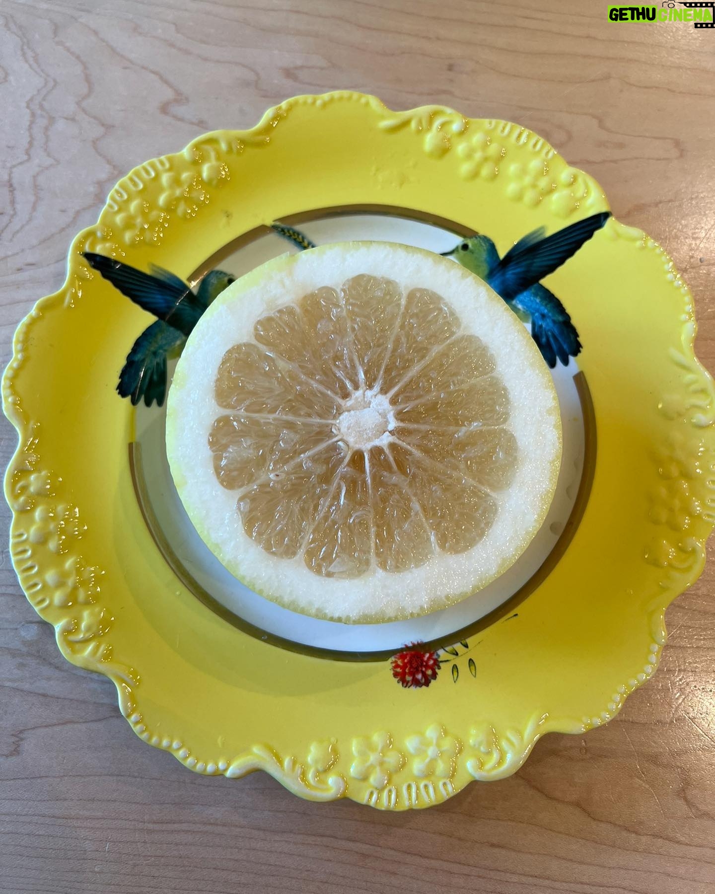 Liv Tyler Instagram - Gifts from the trees …