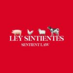 Liz Solari Instagram - Co-cree este proyecto de Ley junto a @barnabaderechopenal. Llamo a todos los que aman a los animales a firmar, compartir para que se haga Ley. El Proyecto de @leysintientes propone la modificación del Código Civil y Comercial Argentino para considerar a los animales sintientes y sujetos de derecho. Firma y compartí la petición para que Sintientes sea Ley - Link en Bio #SentientLaw Project proposes the modification of the Argentinian Civil and Comercial Code to consider animals sentient and subects of law. Sign and share the petition - Link in Bio 🙏🏻🐾🇦🇷 @cherchevalier_author @clegg.judith @smileymindskids @change_ar #LeySintientes #ProyectoDeLey #animales #derechoanimal #LawProject #animals #animalsrights #Argentina