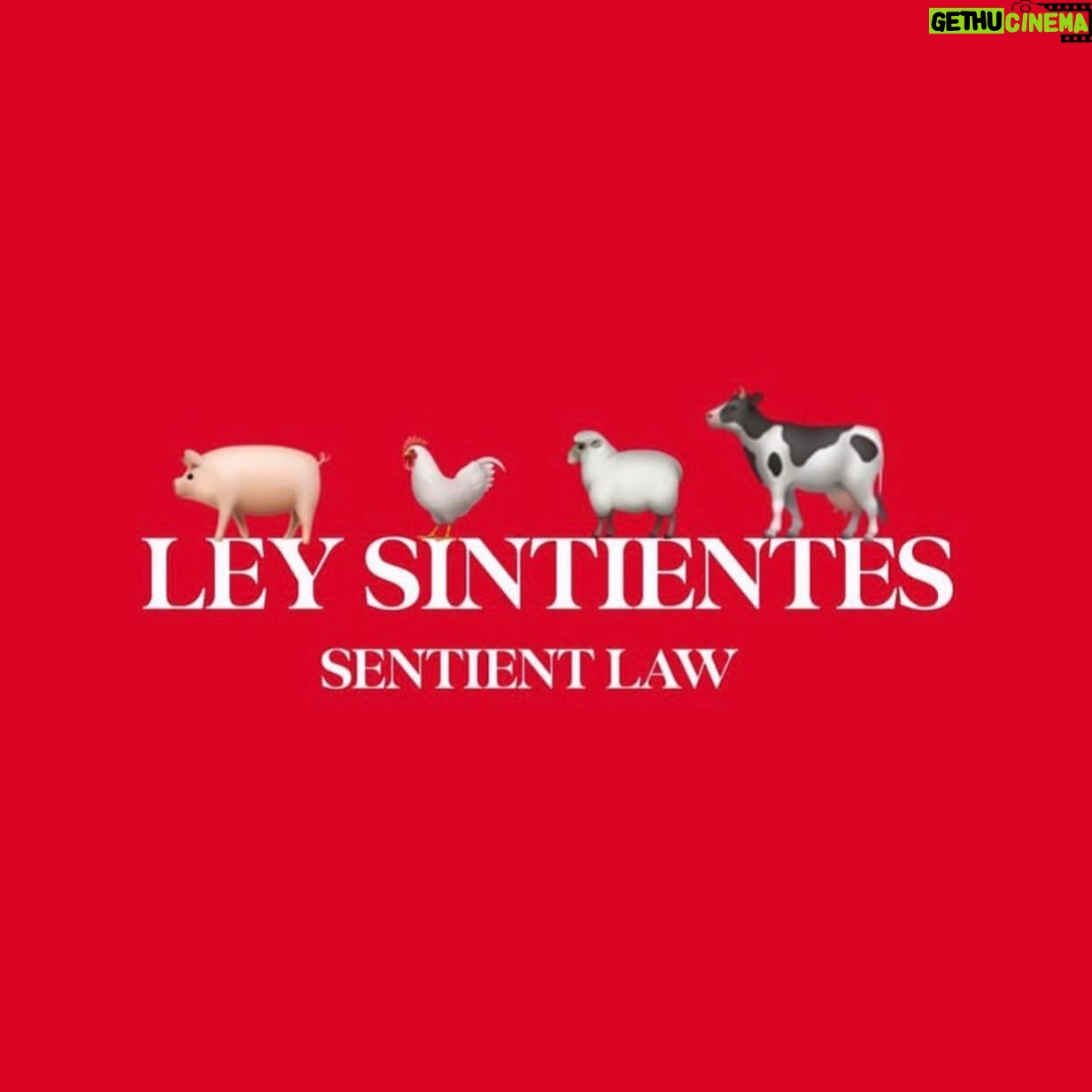 Liz Solari Instagram - Co-cree este proyecto de Ley junto a @barnabaderechopenal. Llamo a todos los que aman a los animales a firmar, compartir para que se haga Ley. El Proyecto de @leysintientes propone la modificación del Código Civil y Comercial Argentino para considerar a los animales sintientes y sujetos de derecho. Firma y compartí la petición para que Sintientes sea Ley - Link en Bio #SentientLaw Project proposes the modification of the Argentinian Civil and Comercial Code to consider animals sentient and subects of law. Sign and share the petition - Link in Bio 🙏🏻🐾🇦🇷 @cherchevalier_author @clegg.judith @smileymindskids @change_ar #LeySintientes #ProyectoDeLey #animales #derechoanimal #LawProject #animals #animalsrights #Argentina