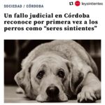 Liz Solari Instagram – #Repost @leysintientes with @use.repost
・・・
📣 FALLO HISTÓRICO EN ARGENTINA
CORDOBA ESTABLECIÓ QUE LOS PERROS SON SERES SINTIENTES 🙏🏻❤️🐾🥳
“El fallo significó un nuevo aporte al desarrollo progresivo jurisprudencial en torno a los animales, que paulatinamente, deconstruye las bases antropocéntricas del ordenamiento jurídico.”
Suma tu firma para que todos los animales sean considerados sintientes en Argentina. Encontra nuestra petición en bio 🙏✍️❤️
📣 Historical legal ruling in Argentina: Cordoba established that dogs are sentient beings. 🙏❤️🐾✍️🥳
“The ruling meant a new contribution to the progressive jurisprudential development around animals, which gradually deconstructs the anthropocentric bases of the legal system.”
Sign and share our petition for all animals to be condisered sentient in Argentina. Link in Bio 🙏❤️✍️
@cherchevalier_author @clegg.judith @smileymindskids
#leysintientes
#sentientlaw
#derechosanimales
#noticias
#news
