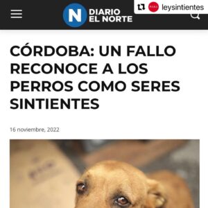 Liz Solari Instagram - #Repost @leysintientes with @use.repost
・・・
📣 FALLO HISTÓRICO EN ARGENTINA 

CORDOBA ESTABLECIÓ QUE LOS PERROS SON SERES SINTIENTES 🙏🏻❤️🐾🥳

“El fallo significó un nuevo aporte al desarrollo progresivo jurisprudencial en torno a los animales, que paulatinamente, deconstruye las bases antropocéntricas del ordenamiento jurídico."

Suma tu firma para que todos los animales sean considerados sintientes en Argentina. Encontra nuestra petición en bio 🙏✍️❤️

📣 Historical legal ruling in Argentina: Cordoba established that dogs are sentient beings. 🙏❤️🐾✍️🥳

"The ruling meant a new contribution to the progressive jurisprudential development around animals, which gradually deconstructs the anthropocentric bases of the legal system."

Sign and share our petition for all animals to be condisered sentient in Argentina. Link in Bio 🙏❤️✍️

@cherchevalier_author @clegg.judith @smileymindskids 

#leysintientes 
#sentientlaw 
#derechosanimales 
#noticias 
#news