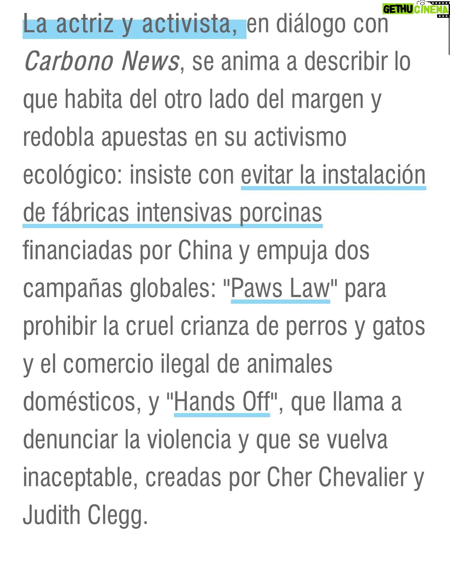 Liz Solari Instagram - ¡Gracias @carbononews @constanzasofiasoler por esta entrevista brillante! Link directo para leerla completa en mi Bio. 🙏🏻🗣✨🌱🐾🌍 "There is nothing natural or good about the intensive farming and slaughter of animals” Thank you @carbononews @constanzasofiasoler for this brilliant interview! @cherchevalier_author @pawslawuk @handsoffcampaign @clegg.judith @smileymindskids #LunesVerdes #NoAlAcuerdoPorcinoConChina #PawsLaw #HandsOff #GoPlantBased #AmorAnimal #Activismo #CherChevalier #LizSolari