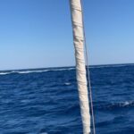 Liz Solari Instagram – 🌬⛵️🌊🐠🌅