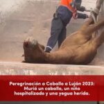 Liz Solari Instagram – La Peregrinación a Caballo a Luján sigue acumulando casos de muertes y explotación animal en nombre de la tradición. 

✊ SINTIENTES estuvo presente en el Congreso de la Nación Argentina demandando a los legisladores que hagan su parte para terminar con el maltrato animal y prohíban la tracción a sangre en todo el territorio. 🇦🇷

✍️ Por favor, firmá y compartí nuestra petición para que todos los animales sean declarados sintientes y sujeto de derecho en Argentina. LINK EN BIO.

#LeySintientes #NoMasTAS #Peregrinacion #Lujan #Argentina #DerechosAnimales #SintienciaAnimal

.

The Horse Pilgrimage to Luján continues to accumulate cases of animal deaths and exploitation in the name of tradition.

✊ SINTIENTES was present at the National Congress of Argentina demanding that legislators help to end animal abuse and ban horse-drawn carts throughout the territory. 🇦🇷

✍️ Please sign and share our petition to declare all animals sentient beings subject to law in Argentina. LINK IN BIO.

#SentientLaw Pilgrimage #AnimalRights #AnimalSentience