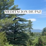 Liz Solari Instagram - Aquí mi regalo navideño para ustedes, deseo que la paz renazca en sus corazones y la compartan con el mundo. Guio la Meditación de Paz, honrando al Principe de la Paz, el Gran Maestro Jesus. Esta meditación es parte de el libro #MeditacionesParaUnViajeInterior que co-creamos junto a @cherchevalier_author y esta disponible en forma de papel, digital y audiolibro en Amazon. Gracias @bioguia y @juli.pilatti por el espacio. 🙏🏻🎄🤍🕊✨ Here my Christmas present for you, a guided Peace Meditation honouring The Prince of Peace, The Great Master Yeshua. This meditation is part of the book #InnerJourneyMeditations by @cherchevalier_author available in Amazon.