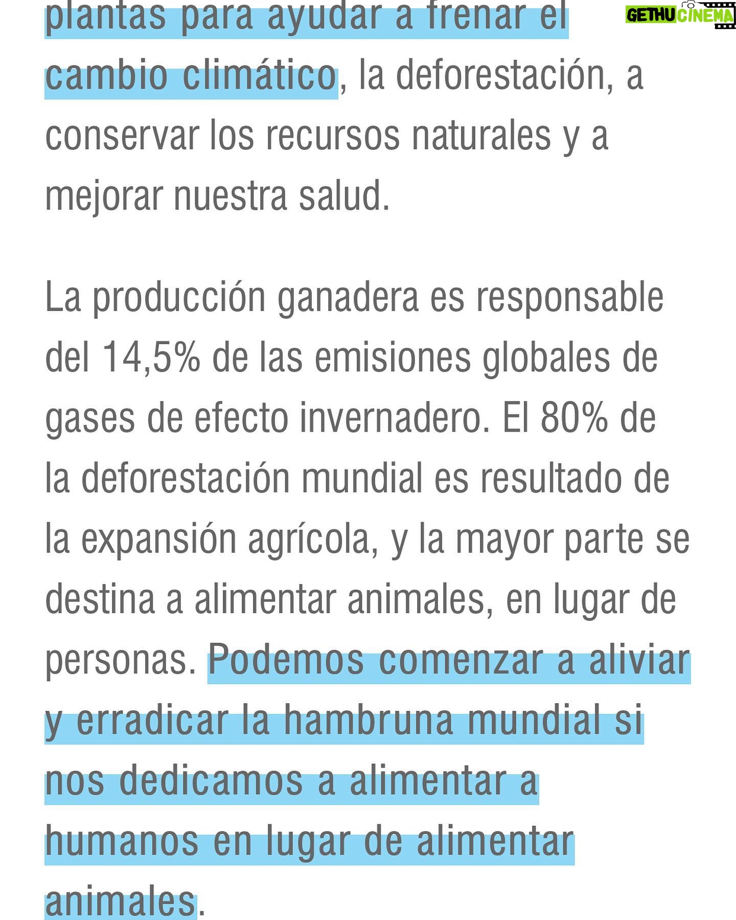 Liz Solari Instagram - ¡Gracias @carbononews @constanzasofiasoler por esta entrevista brillante! Link directo para leerla completa en mi Bio. 🙏🏻🗣✨🌱🐾🌍 "There is nothing natural or good about the intensive farming and slaughter of animals” Thank you @carbononews @constanzasofiasoler for this brilliant interview! @cherchevalier_author @pawslawuk @handsoffcampaign @clegg.judith @smileymindskids #LunesVerdes #NoAlAcuerdoPorcinoConChina #PawsLaw #HandsOff #GoPlantBased #AmorAnimal #Activismo #CherChevalier #LizSolari