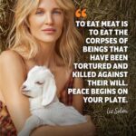 Liz Solari Instagram - Te invito a probar el veganismo en Enero. Sumate a ser parte del desafio Veganuary 👉🏽 Link en mi bio #Veganuary2022 Honrada de ser embajadora de Veganuary @weareveganuary @veganuaryespanol #GoVegan 🐷🐥🐠🐙🦐🦀🦭🐋🐄🐑🐊🐓 I invite you to try veganism on January. Become part of #Veganuary2022 challengue. 👉🏽Link in Bio 🙏🏻🌱🐾🌎🥳 Grateful to be Veganuary Ambassador #GoVegan @weareveganuary @veganuaryespanol @veganuaryespanol with @make_repost ・・・ ¡Veganuary Challenge! Si tienes a alguien en tu familia o circulo cercano que hayas querido inicie su vida vegana, ¡esta es la oportunidad!⁠ ⁠ Desafíalo a hacer Veganuary en el mes de enero y acompáñalo/a en su proceso. Verás que con nuestra ayuda y la tuya podrá iniciar de mejor manera su viaje vegano🌱Recuerda que el enlace de inscripción se encuentra en nuestra biografía o historias 👆.⁠ ⁠ ⁠Texto Imagen: Reta a alguien a hacer Veganuary⁠ ⁠TY and bless you @cherchevalier_author for inspiring me to become #harmless #vegan 11 years ago 🙏🏻❤️✨