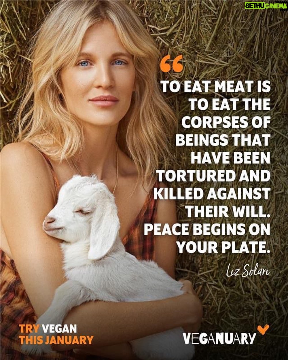 Liz Solari Instagram - Te invito a probar el veganismo en Enero. Sumate a ser parte del desafio Veganuary 👉🏽 Link en mi bio #Veganuary2022 Honrada de ser embajadora de Veganuary @weareveganuary @veganuaryespanol #GoVegan 🐷🐥🐠🐙🦐🦀🦭🐋🐄🐑🐊🐓 I invite you to try veganism on January. Become part of #Veganuary2022 challengue. 👉🏽Link in Bio 🙏🏻🌱🐾🌎🥳 Grateful to be Veganuary Ambassador #GoVegan @weareveganuary @veganuaryespanol @veganuaryespanol with @make_repost ・・・ ¡Veganuary Challenge! Si tienes a alguien en tu familia o circulo cercano que hayas querido inicie su vida vegana, ¡esta es la oportunidad! Desafíalo a hacer Veganuary en el mes de enero y acompáñalo/a en su proceso. Verás que con nuestra ayuda y la tuya podrá iniciar de mejor manera su viaje vegano🌱Recuerda que el enlace de inscripción se encuentra en nuestra biografía o historias 👆. Texto Imagen: Reta a alguien a hacer Veganuary TY and bless you @cherchevalier_author for inspiring me to become #harmless #vegan 11 years ago 🙏🏻❤️✨