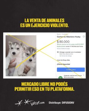 Liz Solari Instagram - Hey @mercadolibre.arg es hora de dejar de intermediar la venta de los animales como si fueran cosas en su plataforma. Son seres sintientes, concientes. 

No sean más complices del cruel y oscuro negocio de la industria de venta de cachorros de raza. 

🙏🏻❤️🐾

@voicot @difusionv @leysintientes 

#liberacionanimal #AdoptaNoCompres 
#MercadoLibreArgentina #LeySintientes