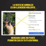 Liz Solari Instagram – Hey @mercadolibre.arg es hora de dejar de intermediar la venta de los animales como si fueran cosas en su plataforma. Son seres sintientes, concientes. 

No sean más complices del cruel y oscuro negocio de la industria de venta de cachorros de raza. 

🙏🏻❤️🐾

@voicot @difusionv @leysintientes 

#liberacionanimal #AdoptaNoCompres 
#MercadoLibreArgentina #LeySintientes