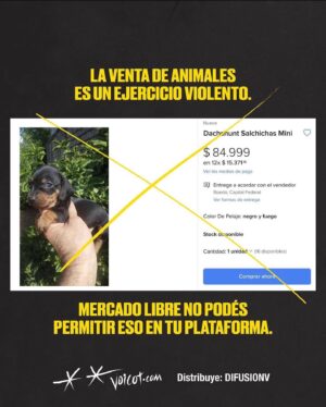 Liz Solari Instagram - Hey @mercadolibre.arg es hora de dejar de intermediar la venta de los animales como si fueran cosas en su plataforma. Son seres sintientes, concientes. 

No sean más complices del cruel y oscuro negocio de la industria de venta de cachorros de raza. 

🙏🏻❤️🐾

@voicot @difusionv @leysintientes 

#liberacionanimal #AdoptaNoCompres 
#MercadoLibreArgentina #LeySintientes