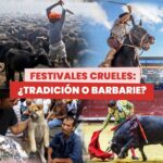 Liz Solari Instagram – ¿TRADICIÓN O VIOLENCIA? 🤚🏻

¿Sabías que cientos de miles de animales en todo el mundo son torturados y asesinados en nombre de la cultura y la tradición?
 
Estas crueles y perversas costumbres se celebran cada año y se hallan arraigadas en distintos rincones del mundo.

Si bien algunas prácticas de maltrato animal se han prohibido en los últimos años gracias a la presión de organizaciones a favor de los derechos de los animales y activistas, y a una mayor sensibilización por parte de la población, resulta URGENTE cambiar los paradigmas culturales para dejar de someter y hostigar a los animales en nombre de la cultura.

¿Y vos qué pensas?

✍️ Te pedimos que firmes y compartas la petición de #LeySintientes en change.org/leysintientes para que todos los animales sean declarados sintientes y sujeto de derecho en Argentina.

#Cultura #Tradicion #SintienciaAnimal #DerechosAnimales

.

CRUEL FESTIVALS: TRADITION OR VIOLENCE? 🤚🏻

Did you know that hundreds of thousands of animals are tortured and murdered around the world in the name of culture and tradition?
These cruel and deep-rooted practices are celebrated every year in the four corners of the world.

While some animal abuse practices have recently been banned thanks to the influence of multiple animal NGOs and activists and increased people’s awareness, it is URGENT to change cultural paradigms and stop animal cruelty and abuse in the name of culture.

✍ Please, sign and share the #SentientLaw petition at change.org/leysintientes so that all animals are declared sentient and subject to law in Argentina.

#Culture #Tradition #AnimalSentience #AnimalRights