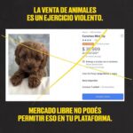 Liz Solari Instagram – Hey @mercadolibre.arg es hora de dejar de intermediar la venta de los animales como si fueran cosas en su plataforma. Son seres sintientes, concientes. 

No sean más complices del cruel y oscuro negocio de la industria de venta de cachorros de raza. 

🙏🏻❤️🐾

@voicot @difusionv @leysintientes 

#liberacionanimal #AdoptaNoCompres 
#MercadoLibreArgentina #LeySintientes