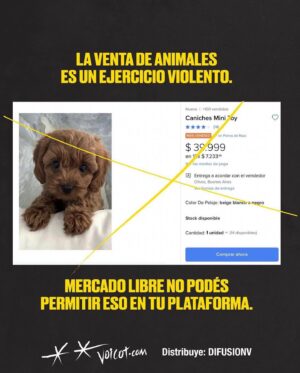 Liz Solari Instagram - Hey @mercadolibre.arg es hora de dejar de intermediar la venta de los animales como si fueran cosas en su plataforma. Son seres sintientes, concientes. 

No sean más complices del cruel y oscuro negocio de la industria de venta de cachorros de raza. 

🙏🏻❤️🐾

@voicot @difusionv @leysintientes 

#liberacionanimal #AdoptaNoCompres 
#MercadoLibreArgentina #LeySintientes