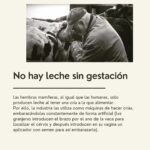 Liz Solari Instagram – 5 verdades incómodas sobre la #industriacarnica que no te cuentan los anuncios. 

¿Cual te impacto más?

Gs @maiteirulegi 🙏🏻🌱🐾

#plantbased #govegan #sevegano #amoranimal #animales #masamor