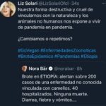 Liz Solari Instagram - ¿Cambiamos o repetimos? 👇🏽 http://outbreaknewstoday.com/ethiopia-some-200-unknown-disease-related-to-camels-reported-72475/ #GoVegan #BrotesEpidemicos #Pandemias #Etiopia #Camellos