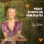 Liz Solari Instagram – Hablar de Paz con un ser muerto en nuestro plato es incoherente. Yo lo fui por 26 años de mi vida. Hace 12 años elegí alinear mis pensamientos con mis acciones. Hace 12 años elijo que mi plato esté lleno de vida.
Para mi el veganismo es un paso (de tantos más) que damos cuando somos concientes de que la vida de otro ser es tan importante y necesaria en esta creación como la nuestra.
Jesús nos dejó una Regla de Oro: “Trata a otros como quisieras ser tratado”. Esto incluye a otros humanos, a los animales y a la Tierra.
Te invito a probar el #veganismo junto a @veganuaryespanol en Enero.
Te invito a que taguees a la persona que te motivo a dejar de comer animales. Gracias @cherchevalier_author por inspirarme.
🙏🏻🌎❤️🌱🐾🧘♀️✨
#veganismo #veganuary #NocheDePaz #Navidad #Jesus #Conciencia #Paz #Compasión #AmorAnimal