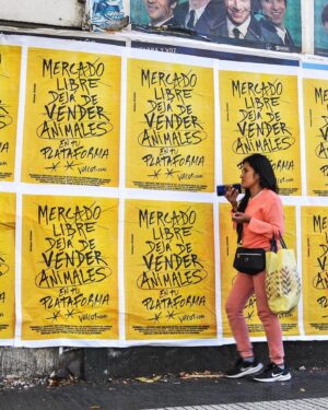 Liz Solari Instagram - Hey @mercadolibre.arg es hora de dejar de intermediar la venta de los animales como si fueran cosas en su plataforma. Son seres sintientes, concientes. 

No sean más complices del cruel y oscuro negocio de la industria de venta de cachorros de raza. 

🙏🏻❤️🐾

@voicot @difusionv @leysintientes 

#liberacionanimal #AdoptaNoCompres 
#MercadoLibreArgentina #LeySintientes