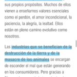 Liz Solari Instagram - ¡Gracias @carbononews @constanzasofiasoler por esta entrevista brillante! Link directo para leerla completa en mi Bio. 🙏🏻🗣✨🌱🐾🌍 "There is nothing natural or good about the intensive farming and slaughter of animals” Thank you @carbononews @constanzasofiasoler for this brilliant interview! @cherchevalier_author @pawslawuk @handsoffcampaign @clegg.judith @smileymindskids #LunesVerdes #NoAlAcuerdoPorcinoConChina #PawsLaw #HandsOff #GoPlantBased #AmorAnimal #Activismo #CherChevalier #LizSolari