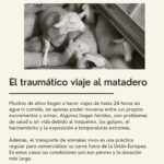 Liz Solari Instagram – 5 verdades incómodas sobre la #industriacarnica que no te cuentan los anuncios. 

¿Cual te impacto más?

Gs @maiteirulegi 🙏🏻🌱🐾

#plantbased #govegan #sevegano #amoranimal #animales #masamor