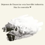 Liz Solari Instagram – 5 verdades incómodas sobre la #industriacarnica que no te cuentan los anuncios. 

¿Cual te impacto más?

Gs @maiteirulegi 🙏🏻🌱🐾

#plantbased #govegan #sevegano #amoranimal #animales #masamor