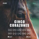 Liz Solari Instagram – ¡#5Corazones llega a @flowcontenidos! 🙏🏻🎬🐴🥳

5 Hearts has arrived to @flowcontenidos! #SaveTheDate 

20.09.21 #premiere #documental #documentary 

Estamos muy felices de contarles que a partir del 20 de septiembre, nuestro documental “Cinco Corazones”, estará disponible para millones de personas en la plataforma digital Flow, en exclusiva para Argentina, Uruguay y Paraguay.

Narrado por la reconocida actriz y activista Liz Solari y dirigido por Martin Parlato, CEO y Fundador de Posibl., Cinco Corazones cuenta la verdadera y cruel realidad que viven mas de 200.000 caballos por año en Argentina, quienes desde su nacimiento hasta su muerte viven todo tipo de abusos. 

El documental deja al desnudo las vergonzosas prácticas deportivas y culturales a las que están expuestos los equinos y su objetivo es ponerle fin a la triste realidad que viven estos animales que finalmente son faenados para que su carne sea exportada desde Argentina hasta los distintos países consumidores de carne de caballo en Europa.

No te pierdas este sensacional estreno.
Comparte el documental y suma tu voz. Juntos podemos cambiar la realidad de los caballos. ✊ @posiblmedia 
.
.
.
.

@liz_solari @ffw.es @fondationfranzweber @santuarioequidad @mas_animalidad @italianhorseprotection_onlus @alejandra.garcia_equidad @gaiabelgium #animalwelfarefoundation @cherchevalier_author @clegg.judith @smileymindskids 

#TierschutzbundZürich
#Posibl #Documental #Documentary#Films #Movie #Caballos #Horses#Animals #Animales #AnimalCruelty #AnimalWelfareFoundation #tierschutzbundzürich