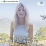 Liz Solari Instagram – ・・・ @stopecocidioesp @ecocidelaw 
⌛Estamos viviendo un momento único en la historia de la humanidad. El grave daño y la destrucción masiva de los ecosistemas, es decir, el ecocidio, nos ha llevado a la actual crisis climática, el colapso de la biodiversidad y el aumento de los graves crímenes ambientales. Esto está poniendo en riesgo nuestro futuro y el de millones de seres vivos más

⚖️Ha llegado el momento de modificar la ley introduciendo un nuevo crimen en la esfera internacional: el ECOCIDIO

🥁Y hoy tenemos el grandísimo honor de anunciar que @liz_solari, argentina y activista en defensa de los derechos de los animales, apoya públicamente la campaña Stop Ecocidio y anima a que junt@s cambiémos el rumbo de la historia

🌎Porque la Ley del Ecocidio puede velar por la protección duradera de toda la vida en la Tierra

🔗Toda la información de la campaña y cómo apoyarnos en nuestro Linktree y en nuestra web
.
.
.
.
.
.
.
.
.
.
.
.
.
@cherchevalier_author @clegg.judith @smileymindskids 
@greenpeacearg @ffflatam @ecoinventos @natgeoespana @inacoargentina  @fibgar_ @carrascofilm @greenpeace @redeecocidada @unoy_peacebuilders @nuestra.agenda @extinctionrebellion.brasil @unep_esp @plataformacipo @tierradelfuegogob @iamexp10 @extinctionrebellionpt juenaong @xr_mex @xrcolombiaa @juventudesxlapaz @redambiental @paiscircular @rellac_joven @boliviamerecemas @captainmarch @j.u.l.i.a.borges @maria.bonita.xr @pistasazules @greenysofi @advoquette @fridaysforfuturebogota @re.earthorg @latinasforclimate @pedrocunha.eco @besomeone.world @justicaeco @escazuahora_mx @escazuahorachile

#stopecocidio #leydelecocidio #acciónclimatica #ecocidio #protectoresdelatierra #proteccionmedioambiental #derechosdelmedioambiente #legislaciónmedioambiental #medioambienteeuropeo #estatutoderoma #crimenclimático #crisisclimática #justiciaclimática #calentamientoglobal #Delitosecológicos #leyambiental #leypenaldelambiente #ecocidionuncamas #JusticiaAmbiental #urgenciaclimatica #cambioclimaticoesreal #MovimientosSocial #AméricaLatina #indígenas #pueblosindígenas #justiciaclimática #bosquessinmineria #standwiththeamazon #sosamazonia #amazoniavivahumanidadsegura