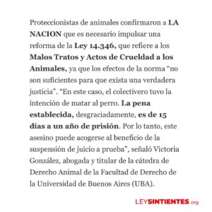Liz Solari Instagram - Gracias @lanacioncom por abrir el espacio para hablar de la URGENCIA de mejorar sustancialmente la Ley 14.346 y de que el proyecto de #LeySintientes SEA LEY, a raíz del terrible caso de la perrita Emilia que fue asesinada atropellada por un colectivero.

Etiquetá a @javiermilei y pedile que apoye @leysintientes para proteger a los animales. 🙌🏽❤️😍

LEY SINTIENTES busca dar un paso histórico en Argentina modificando el Código Civil y Comercial para sacar de la categoría de “cosas” a todos los animales y así declararlos sintientes y sujeto de derecho. 🙏🐾

📰 Lee la nota completa en nuestra WEB en la sección de PRENSA: leysintientes.org

Nota: @vickymenghini 

Y POR FAVOR, firmá y compartí nuestra petición en change.org/leysintientes para ayudarnos a llegar a 1 millón de firmas.

#Argentina #Animales #DerechosAnimales #LeySintientes 

We thank @lanacioncom for discussing the URGENT need to make the #SentientLaw a reality in Argentina, following the tragic case of Emilia, the dog who was killed by a bus driver.

#SENTIENTLAW aims to make a historic change by amending Argentine Civil and Commercial Code to take all animals out of the category of “objects” and declare them sentient beings and subject to law. 🙏🐾

📰 Read the full article on our WEBSITE in the PRESS section: leysintientes.org

PLEASE, sign and share our petition at change.org/leysintientes to help us reach 1 million signatures.

#Animals #AnimalRights #AnimalSentience