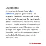 Liz Solari Instagram – Gracias @lanacioncom por abrir el espacio para hablar de la URGENCIA de mejorar sustancialmente la Ley 14.346 y de que el proyecto de #LeySintientes SEA LEY, a raíz del terrible caso de la perrita Emilia que fue asesinada atropellada por un colectivero.

Etiquetá a @javiermilei y pedile que apoye @leysintientes para proteger a los animales. 🙌🏽❤️😍

LEY SINTIENTES busca dar un paso histórico en Argentina modificando el Código Civil y Comercial para sacar de la categoría de “cosas” a todos los animales y así declararlos sintientes y sujeto de derecho. 🙏🐾

📰 Lee la nota completa en nuestra WEB en la sección de PRENSA: leysintientes.org

Nota: @vickymenghini 

Y POR FAVOR, firmá y compartí nuestra petición en change.org/leysintientes para ayudarnos a llegar a 1 millón de firmas.

#Argentina #Animales #DerechosAnimales #LeySintientes 

We thank @lanacioncom for discussing the URGENT need to make the #SentientLaw a reality in Argentina, following the tragic case of Emilia, the dog who was killed by a bus driver.

#SENTIENTLAW aims to make a historic change by amending Argentine Civil and Commercial Code to take all animals out of the category of “objects” and declare them sentient beings and subject to law. 🙏🐾

📰 Read the full article on our WEBSITE in the PRESS section: leysintientes.org

PLEASE, sign and share our petition at change.org/leysintientes to help us reach 1 million signatures.

#Animals #AnimalRights #AnimalSentience