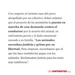 Liz Solari Instagram – Gracias @lanacioncom por abrir el espacio para hablar de la URGENCIA de mejorar sustancialmente la Ley 14.346 y de que el proyecto de #LeySintientes SEA LEY, a raíz del terrible caso de la perrita Emilia que fue asesinada atropellada por un colectivero.

Etiquetá a @javiermilei y pedile que apoye @leysintientes para proteger a los animales. 🙌🏽❤️😍

LEY SINTIENTES busca dar un paso histórico en Argentina modificando el Código Civil y Comercial para sacar de la categoría de “cosas” a todos los animales y así declararlos sintientes y sujeto de derecho. 🙏🐾

📰 Lee la nota completa en nuestra WEB en la sección de PRENSA: leysintientes.org

Nota: @vickymenghini 

Y POR FAVOR, firmá y compartí nuestra petición en change.org/leysintientes para ayudarnos a llegar a 1 millón de firmas.

#Argentina #Animales #DerechosAnimales #LeySintientes 

We thank @lanacioncom for discussing the URGENT need to make the #SentientLaw a reality in Argentina, following the tragic case of Emilia, the dog who was killed by a bus driver.

#SENTIENTLAW aims to make a historic change by amending Argentine Civil and Commercial Code to take all animals out of the category of “objects” and declare them sentient beings and subject to law. 🙏🐾

📰 Read the full article on our WEBSITE in the PRESS section: leysintientes.org

PLEASE, sign and share our petition at change.org/leysintientes to help us reach 1 million signatures.

#Animals #AnimalRights #AnimalSentience