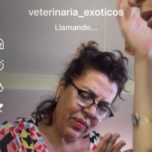 Liz Solari Instagram - Con uds el carrete de la felicidad.

#vacaciones #renovacion #sanacion #agradecer