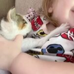 Liz Solari Instagram - Los animales nos rescatan a nosotros, y si abrimos nuestro corazón, nos salvan. Y vos ¿que aprendiste, que sanaste gracias a un animal no humano? ❤️ En el Dia del Animal deseo que seamos millones multiplicando acciones de compasión por ellos. Seamos millones firmando la petición @leysintientes para que de una vez sean considerados sintientes y sujetos de derecho en Argentina. Cambiemos la historia para los animales juntos. 1- “Garabato” un ternero que salvamos con mi vecina Noel y vivirá su vida entera gracias a @santuarioequidad 2- Frida, una gata bebe que encontré sola a las 12pm llorando sin parar en la calle. Anita la transito. Hoy crece su feliz con esta beba y su flia que la adoptaron. 3- Silloncito, un pajarito que cayo de su nido en nuestras vacaciones. Con mi adorada amiga @kani.castro50 lo cuidamos tanto. Aun asi partio, lleno de amor. 4-La negra y Benji, dos perros abandonados y atados con cadenas en un deposito de chatarra. Junto a @losdeatras.vienenconmigo los rescatamos y @guardecanina_carlospaz los ubicamos para siempre. ✊🏼❤️‍🔥🐾🌱 #DiaDelAnimal #CadaAccionCuenta #MasAmor #GoVegan