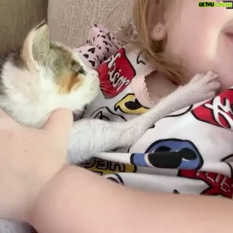 Liz Solari Instagram - Los animales nos rescatan a nosotros, y si abrimos nuestro corazón, nos salvan. Y vos ¿que aprendiste, que sanaste gracias a un animal no humano? ❤️ En el Dia del Animal deseo que seamos millones multiplicando acciones de compasión por ellos. Seamos millones firmando la petición @leysintientes para que de una vez sean considerados sintientes y sujetos de derecho en Argentina. Cambiemos la historia para los animales juntos. 1- “Garabato” un ternero que salvamos con mi vecina Noel y vivirá su vida entera gracias a @santuarioequidad 2- Frida, una gata bebe que encontré sola a las 12pm llorando sin parar en la calle. Anita la transito. Hoy crece su feliz con esta beba y su flia que la adoptaron. 3- Silloncito, un pajarito que cayo de su nido en nuestras vacaciones. Con mi adorada amiga @kani.castro50 lo cuidamos tanto. Aun asi partio, lleno de amor. 4-La negra y Benji, dos perros abandonados y atados con cadenas en un deposito de chatarra. Junto a @losdeatras.vienenconmigo los rescatamos y @guardecanina_carlospaz los ubicamos para siempre. ✊🏼❤️🔥🐾🌱 #DiaDelAnimal #CadaAccionCuenta #MasAmor #GoVegan