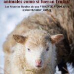 Liz Solari Instagram – Que oportuno recordarnos que la compasión, el amor, la paz empieza en nuestros platos.

Los Secretos Ocultos de una Vidente Moderna escrito por @cherchevalier_author, traducido por mi al Español es un regalo muy especial para vos y tus amados en estas fiestas. Encontralo en Amazon version audiolibro y digital. 

The Hidden Secrets of a Modern Seer written by @cherchevalier_author, Spanish translation by me is a very special gift for you and your loved ones during this holiday season. Find the audiobook and digital version on Amazon. 

How necessary is to remind ourselves that compassion, love, peace begins in our plates.

🙏🏻🎄📚✨🥂

@clegg.judith @smileymindskids 
 #TheHiddenSecretsOfAModernSeer #LosSecretosOcultosDeUnaVidenteModerna #Christmas #Yeshua #GoVegan #CherChevalier