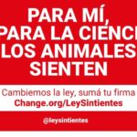 Liz Solari Instagram – ¡Llegando al Congreso!

Por los animales.

I know, Science knows, we ALL know ANIMALS FEEL. Sign and share our petition @leysintientes 

@leysintientes  #NoMasTas #LeySintientes