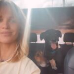 Liz Solari Instagram - Los animales nos rescatan a nosotros, y si abrimos nuestro corazón, nos salvan. Y vos ¿que aprendiste, que sanaste gracias a un animal no humano? ❤️ En el Dia del Animal deseo que seamos millones multiplicando acciones de compasión por ellos. Seamos millones firmando la petición @leysintientes para que de una vez sean considerados sintientes y sujetos de derecho en Argentina. Cambiemos la historia para los animales juntos. 1- “Garabato” un ternero que salvamos con mi vecina Noel y vivirá su vida entera gracias a @santuarioequidad 2- Frida, una gata bebe que encontré sola a las 12pm llorando sin parar en la calle. Anita la transito. Hoy crece su feliz con esta beba y su flia que la adoptaron. 3- Silloncito, un pajarito que cayo de su nido en nuestras vacaciones. Con mi adorada amiga @kani.castro50 lo cuidamos tanto. Aun asi partio, lleno de amor. 4-La negra y Benji, dos perros abandonados y atados con cadenas en un deposito de chatarra. Junto a @losdeatras.vienenconmigo los rescatamos y @guardecanina_carlospaz los ubicamos para siempre. ✊🏼❤️‍🔥🐾🌱 #DiaDelAnimal #CadaAccionCuenta #MasAmor #GoVegan