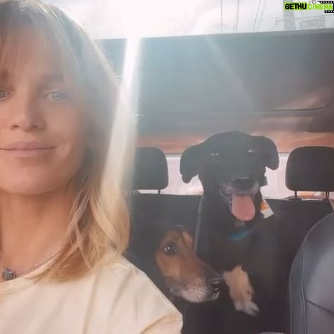 Liz Solari Instagram - Los animales nos rescatan a nosotros, y si abrimos nuestro corazón, nos salvan. Y vos ¿que aprendiste, que sanaste gracias a un animal no humano? ❤️ En el Dia del Animal deseo que seamos millones multiplicando acciones de compasión por ellos. Seamos millones firmando la petición @leysintientes para que de una vez sean considerados sintientes y sujetos de derecho en Argentina. Cambiemos la historia para los animales juntos. 1- “Garabato” un ternero que salvamos con mi vecina Noel y vivirá su vida entera gracias a @santuarioequidad 2- Frida, una gata bebe que encontré sola a las 12pm llorando sin parar en la calle. Anita la transito. Hoy crece su feliz con esta beba y su flia que la adoptaron. 3- Silloncito, un pajarito que cayo de su nido en nuestras vacaciones. Con mi adorada amiga @kani.castro50 lo cuidamos tanto. Aun asi partio, lleno de amor. 4-La negra y Benji, dos perros abandonados y atados con cadenas en un deposito de chatarra. Junto a @losdeatras.vienenconmigo los rescatamos y @guardecanina_carlospaz los ubicamos para siempre. ✊🏼❤️🔥🐾🌱 #DiaDelAnimal #CadaAccionCuenta #MasAmor #GoVegan