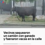 Liz Solari Instagram – Para pensar. ¿Es menos salvaje o más civilizado pagarle a alguien para que mate un animal y comprar su cadáver en el super? 

“Si los mataderos tuvieran paredes de cristal, todos seríamos vegetarianos” @paulmccartney

Cr. @todonoticias @santuarioamorquesalva 

#Vegano #Vegetariano #Violencia #AmorAnimal #Quilmes #Argentina