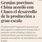 Liz Solari Instagram – NO ES NO.

Hace un año Argentina dice #NoAlAcuerdoPorcinoConChina

Somos cientos de miles los que activamos y millones los que nos oponemos.

Decimos ¡No en el Chaco, No en Argentina!

Sumate a la manifestación en la Embajada de China mañana 25 Agosto 14 a 18 hs. 

Firma y compartí mi petición link en Bio ✊🏼 @change_ar 

–

It’s been a Year We say No to the #PigDealWithChina

Pleae join us tomorrow – Meeting point Chinese Embassy in Argentine – 14 pm to 18 pm – 🗣❤️✨

Sign & Share Petition 👉🏽 Link in Bio 🙏🏻🐽💪🏾