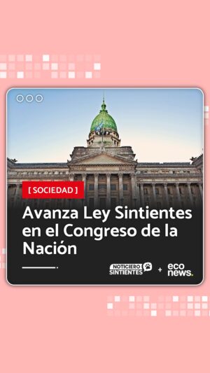 Liz Solari Instagram - Agradecemos a la Diputada Nacional Graciela Camaño @gcamano.oficial por reclamar el tratamiento de la #LeySintientes y por poner en debate el ampliamiento de los derechos de los animales. 

El Proyecto de Ley Sintientes fue introducido a inicios del 2023. 🙏🏻✊🇦🇷

Nuestro objetivo es sacar a los animales del régimen de “COSAS” en el Código Civil y Comercial y que sean considerados persona física no humana sujeto de derecho frente a la ley.

Argentina tiene la oportunidad de dar un paso histórico y ser ejemplo mundial en esta materia.

✍️ ¡Firmá y compartí nuestra petición hasta que lleguemos al millón! LINK EN BIO.

¡Seamos la voz de los animales!

#Argentina #DerechosAnimales #SintienciaAnimal #CongresoDeLaNacion 

.

We thank our National Deputy Graciela Camaño for demanding the debate of the #SentientLaw to reinforce the animal’s rights.

The Sentient Law was introduced in early 2023. 🙏🏻✊🇦🇷

Our goal is to remove animals from the category of “objects” in the Argentinian Civil and Commercial Code and to consider them as non-human persons subjects of law.

Argentina has the opportunity to take a historic step and become a global leader in this matter.

✍️ Please sign and share our petition so that we reach one million signtures! LINK IN BIO.

Let’s be the voice of animals!

#AnimalRights #AnimalSentience