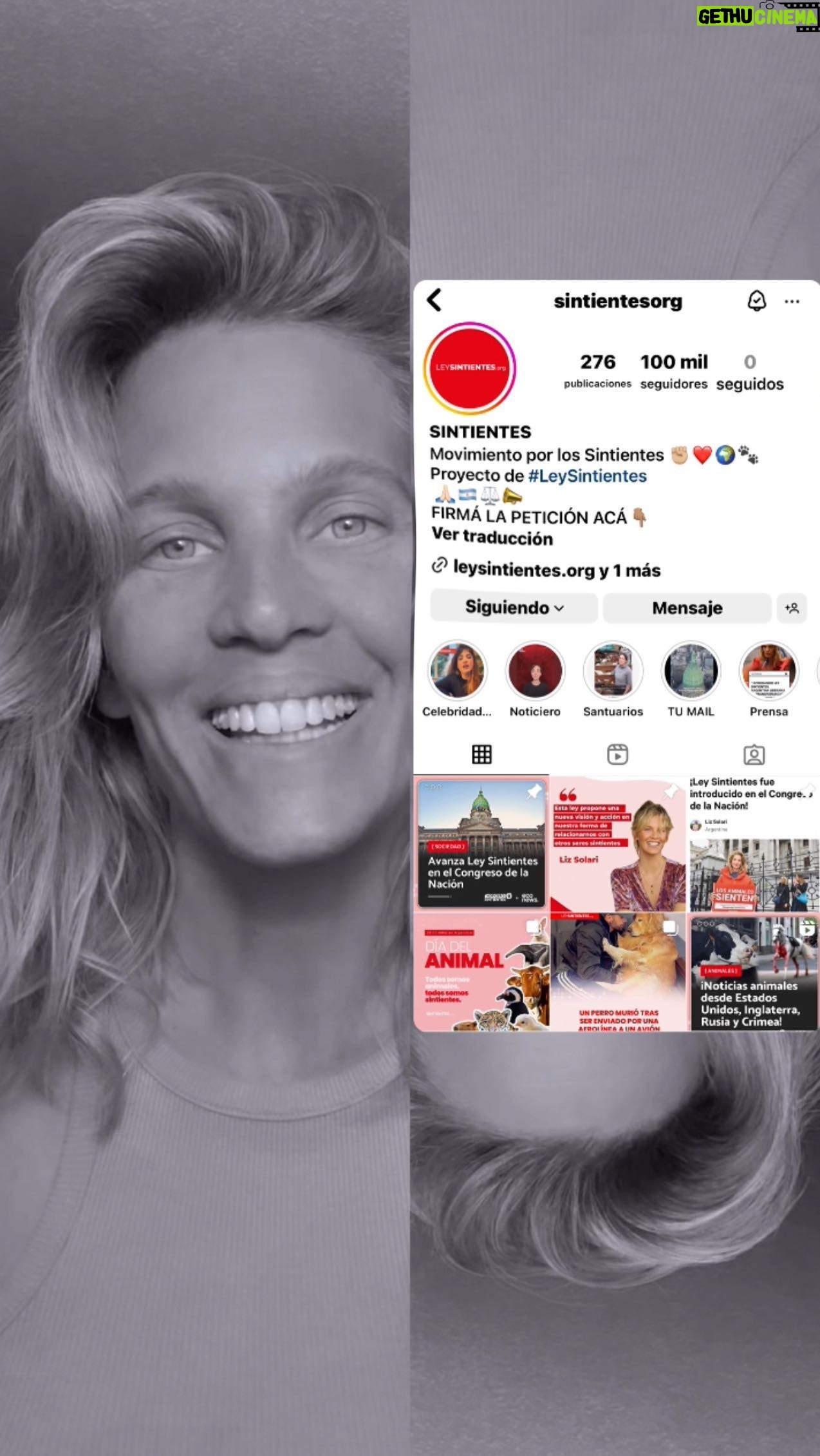 Liz Solari Instagram - En el día del animal, celebro que seamos cientos de miles unidos por ellos. Nuestra peticion tiene casi 200.000 firmas ✊🏼🇦🇷🐾 SOMOS CIENTOS DE MILES. Y justo en el día de hoy nuestra comunidad en IG ascendió los 100.000 seguidores. 🙏🏻❤️🔥🐾✊🏼 En medio del infierno que viven a diario por nuestra ignorancia o egoísmo, les pregunto a quienes les dimos el poder de representarnos ¿Cuando nos van a escuchar? ¿Cuando los van a representar? Los animales nos necesitan con urgencia. SOMOS SU VOZ. Escribí petición y te enviaremos un link privado para firmarla. 🙏🏻❤️🔥🐾 #DiaDelAnimal #LeySintientes #Sintientes #CrueldadAnimal